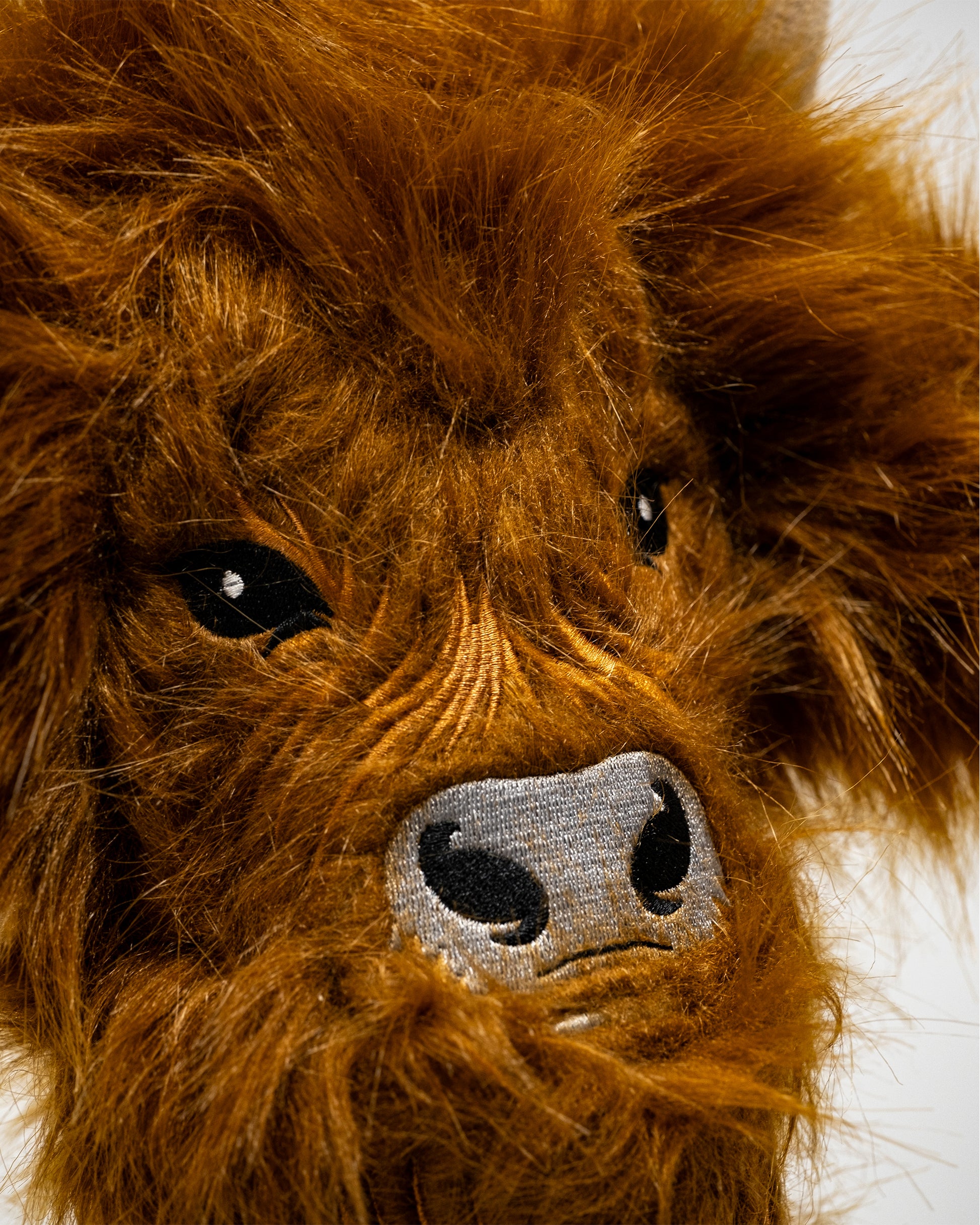 Highland Cow - Driver Cover image 2