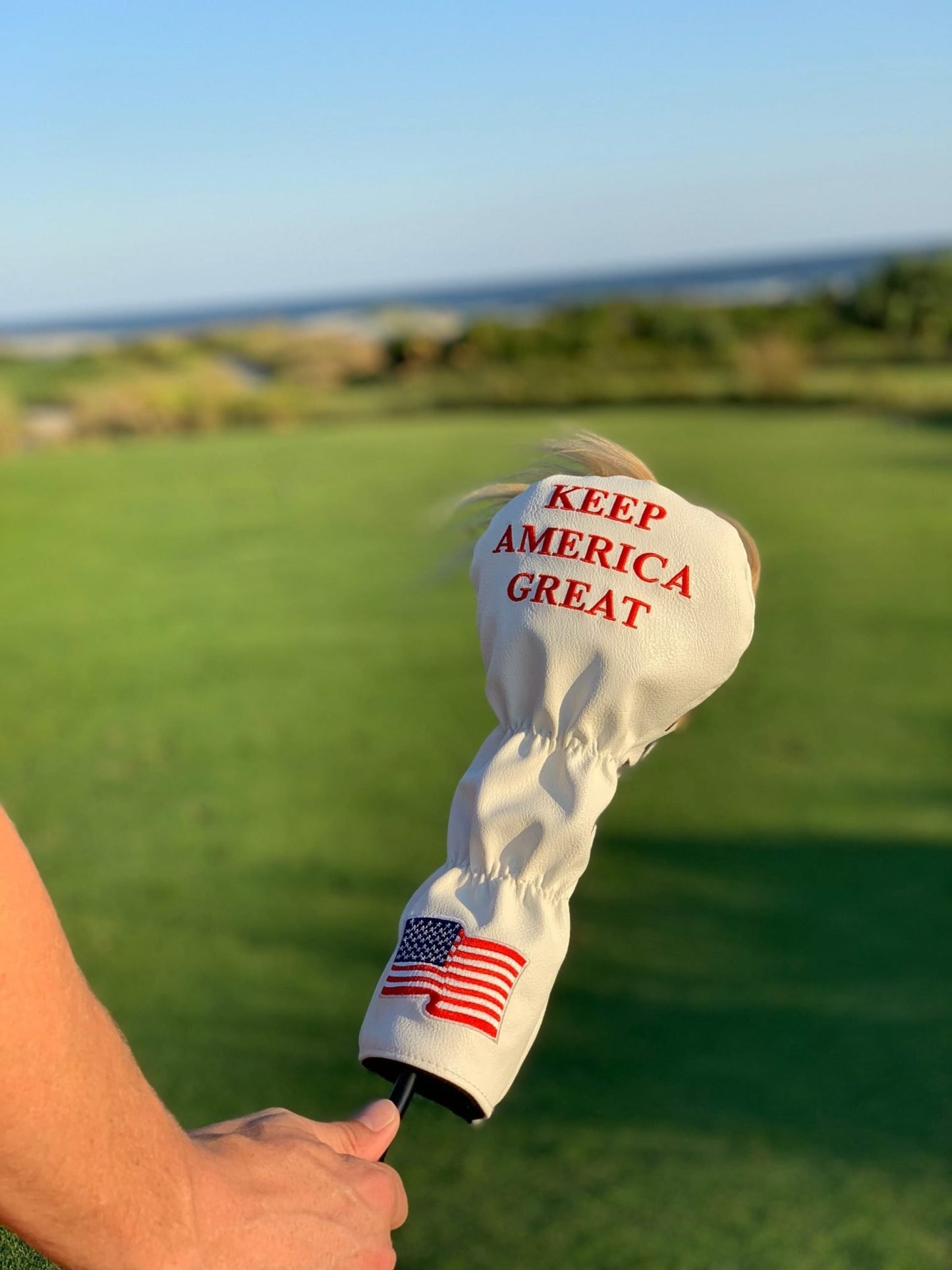 Trump - Driver Cover image 3